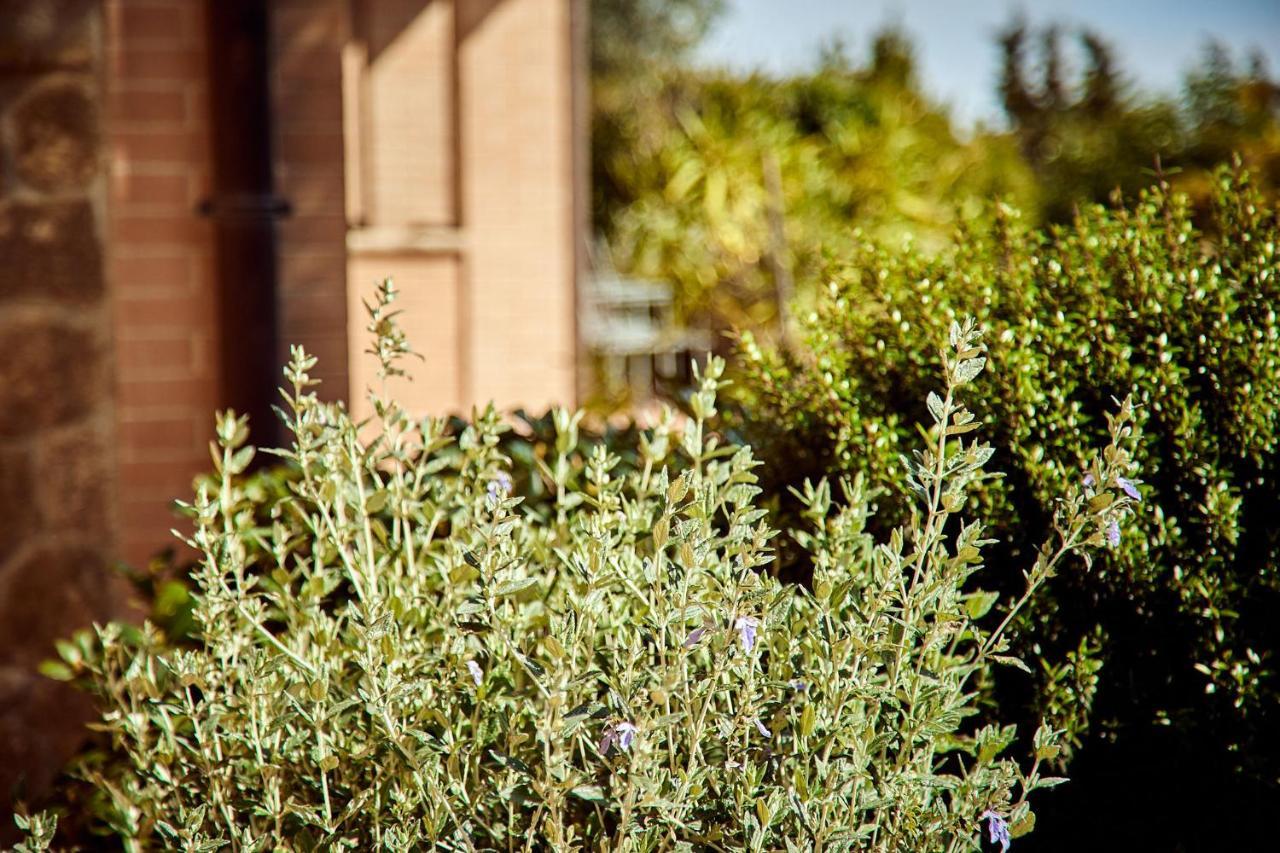 Piccolo Hotel La Valle Pienza Exterior foto